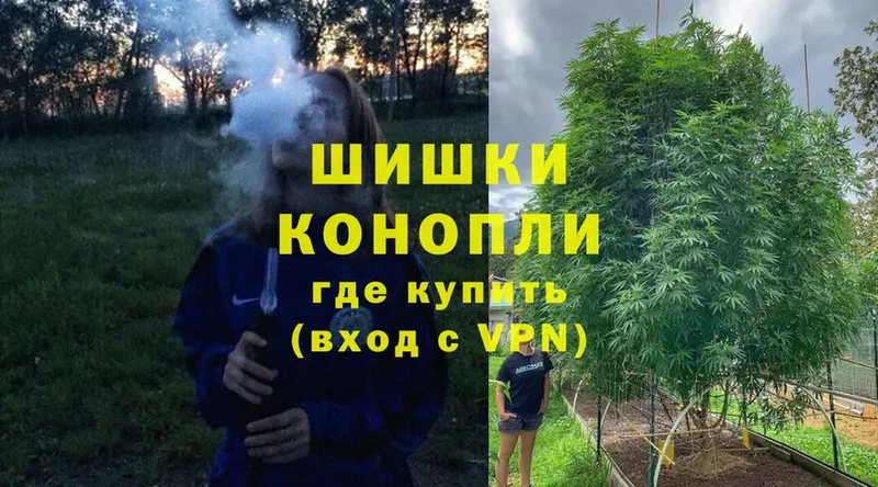 закладки  Нижнеудинск  Бошки Шишки конопля 